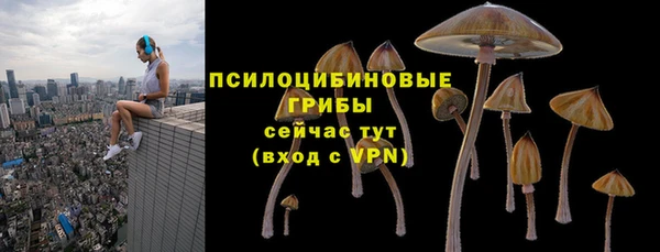мяу мяу мука Абдулино