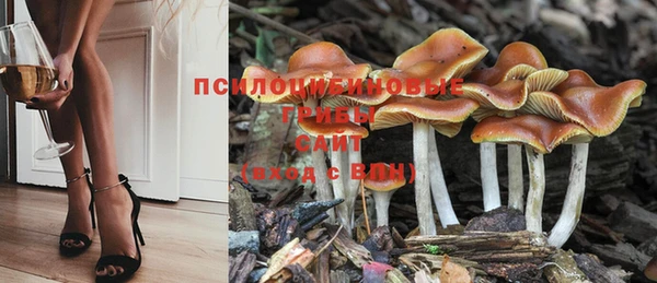мяу мяу мука Абдулино