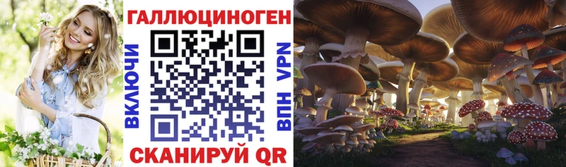 Псилоцибиновые грибы прущие грибы  наркота  Фрязино 